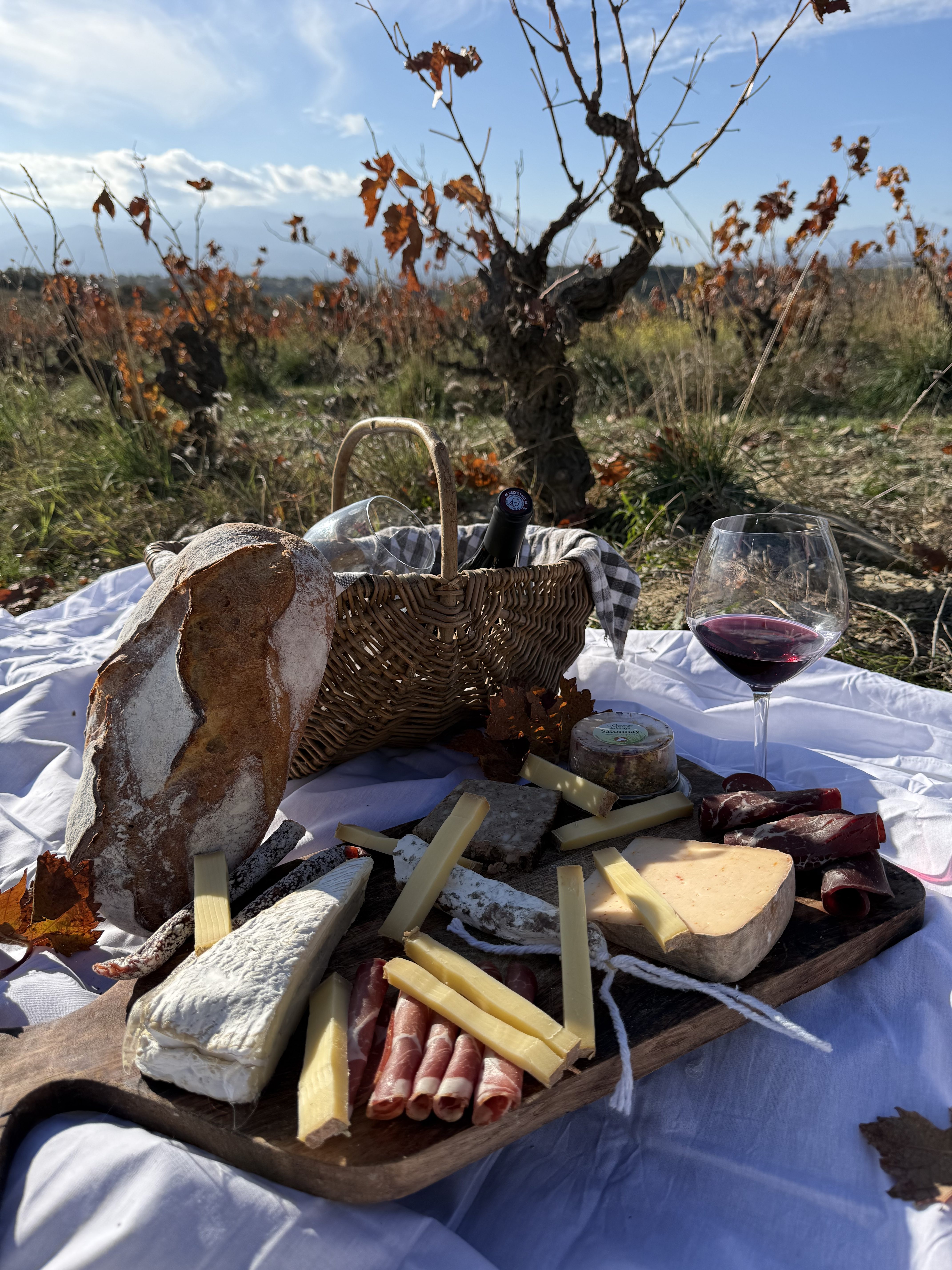 dégustations de vin